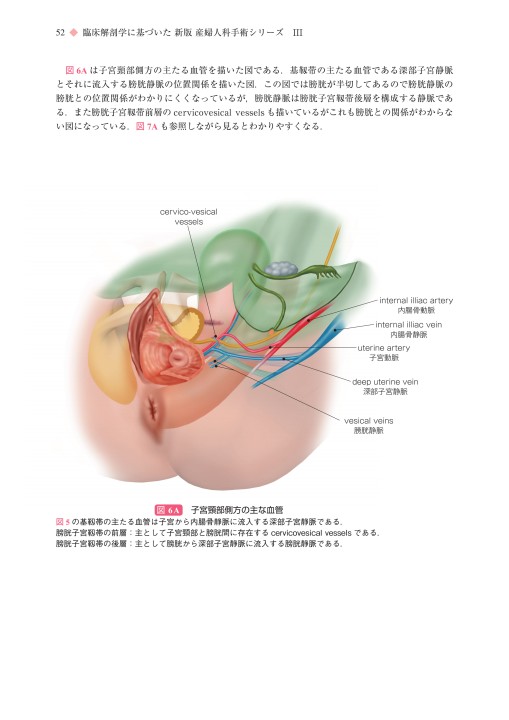 【裁断済】新版　産婦人科手術シリーズⅢ