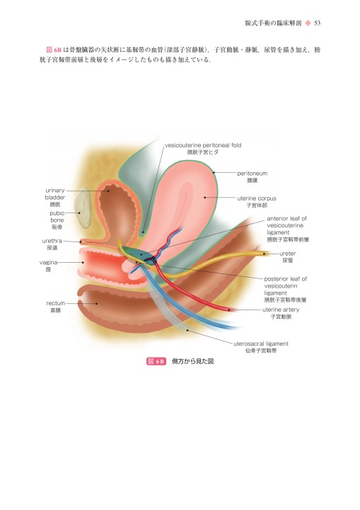 2168新版 産婦人科手術シリーズⅢ