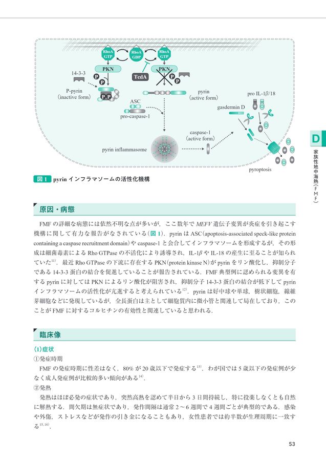 2704自己炎症性疾患診療ガイドライン2026